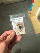 Load image into Gallery viewer, Fish skull Living Eyes