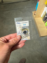 Load image into Gallery viewer, Fish skull Living Eyes