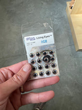 Load image into Gallery viewer, Fish skull Living Eyes